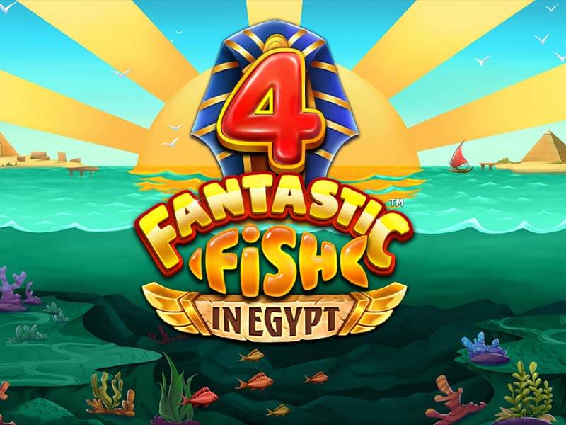 4 Fantastic Fish in Egypt - Mesa ao Vivo