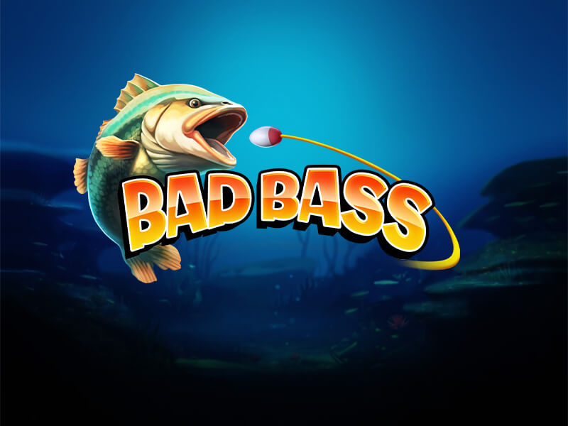 Bad Bass Cover