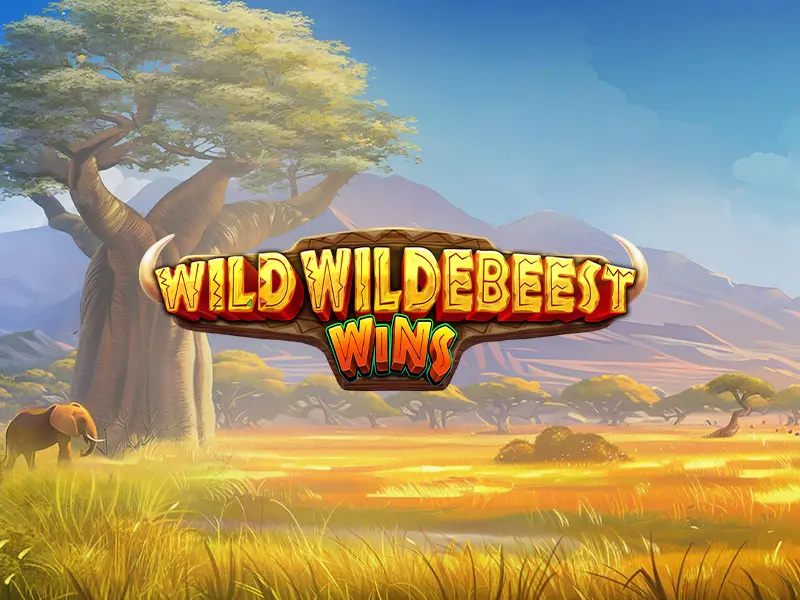 Capa do jogo Wild Wildebeest Wins